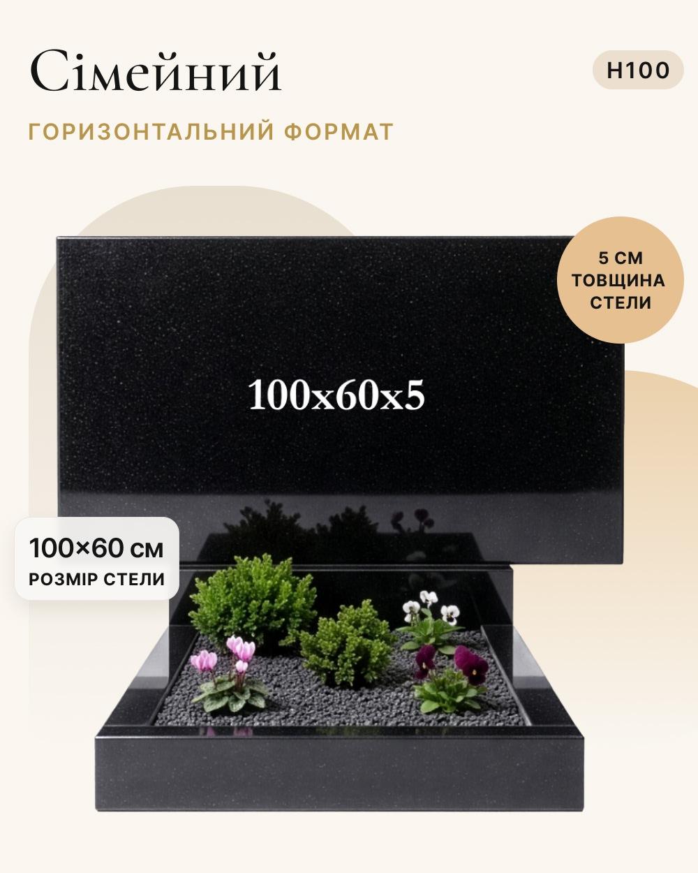 Прямокутний горизонтальний пам'ятник 100×60×5 (одинарний) H100